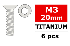 [ PROC-34016 ] TITANIUM SCREWS M3 X 20 MM