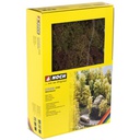 [ NO23100 ] Noch Natuurbomen