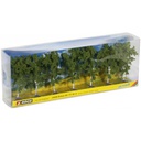 [ NO25096 ] Noch Berken, 7 Stuks, ca. 10 cm hoog