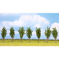 [ NO25098 ] Noch Populieren, 7 Stuks, ca. 12 cm hoog