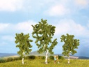 [ NO25120 ] Noch Berken, 3 Stuks, 8 en 10 cm hoog.
