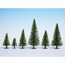[ NO26827 ] Noch SPARREN 16 - 19 cm hoog