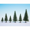 [ NO26920 ] Noch Model Dennen 10stuks 5-14cm hoog