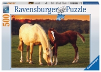 [ RAV143474 ] Paarden 500 stukjes