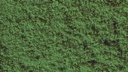 [ NO07200 ] Noch Flockage, olive