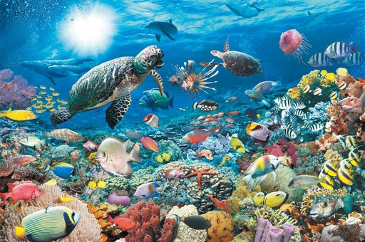 [ RAV174263 ] Leven in het koraalrif 5000 stukjes