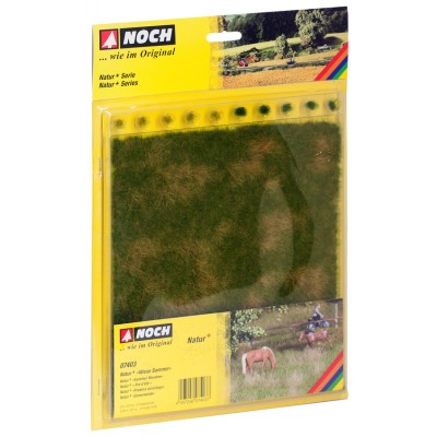 [ NO07403 ] Noch Natuur + Zomerweide