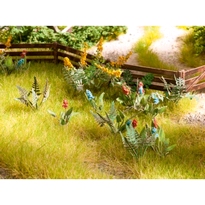 [ NO14056 ] Noch Veld- en weideplanten 17st.
