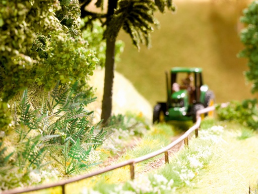 [ NO14100 ] Noch Farn