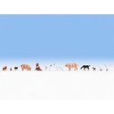 [ NO15711 ] Noch Dieren op de boerderij