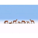 [ NO15740 ] Noch Reeën