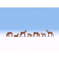 [ NO15740 ] Noch Reeën