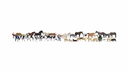[ NO16049 ] Noch Mega Set "Dieren"