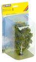 [ NO21641 ] Noch Tweestammige berk - 19cm hoog