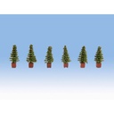 [ NO14021 ] Noch Thuja plant (6st)
