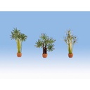 [ NO14024 ] Noch Palmen (3st.)