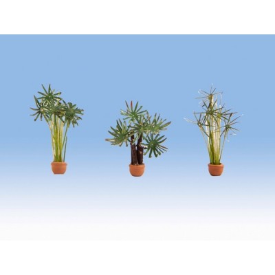 [ NO14024 ] Noch Palmen (3st.)