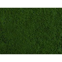 [ NO07271 ] Noch foliage donker groen