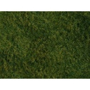 [ NO07280 ] Noch wildgras foliage helgroen