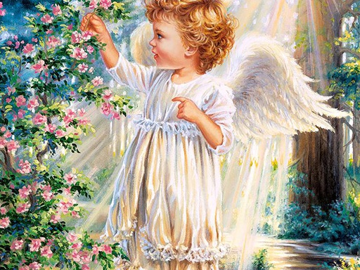 [ CASTOR103867 ] Castorland puzzle an angel's touch (1000 stukjes)