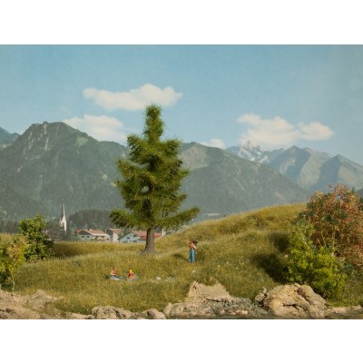 [ NO21815 ] Noch Spar 12cm hoog