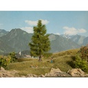 [ NO21816 ] Noch Spar 14,5cm hoog