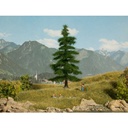 [ NO21811 ] Noch Nordmannspar 14,5cm hoog
