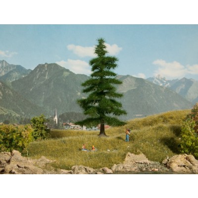 [ NO21811 ] Noch Nordmannspar 14,5cm hoog