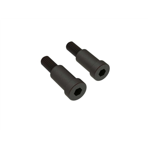 [ ARA340160 ] Arrma  Step Screw 6x22mm (2)