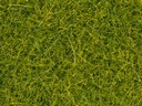 [ NO08363 ] Noch Strooigras lichtgroen 4mm - 20gr