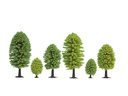 [ NO26801 ] Noch Loofbomen 25 stuks 5-9 cm
