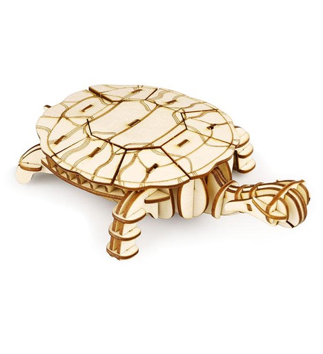 [ ROLIFETG275 ] Turtle