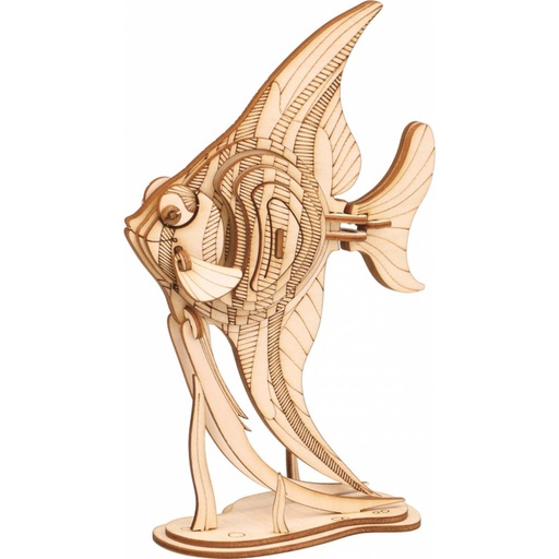 [ ROLIFETG273 ] Angel Fish 