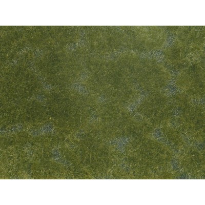 [ NO07252 ] Bodembedekker Foliage Donker Groen - 12 x 18cm
