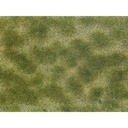 [ NO07253 ] Noch Bodembedekker Foliage Groen / Beige - 12 x 18cm