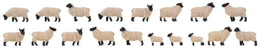 [ FAL151918 ] 1/87 18 ZWARTKOP SCHAPEN 