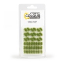 [ GW66-25 ] CITADEL COLOUR TUFTS: VERDIA VELDT