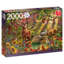 [ JUMBO18868 ] Magisch bos bij zonsondergang - 2000 stukjes