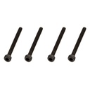 [ ARA702004 ] Cap Head Screw M2.5 x 25mm (4)