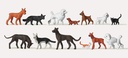 [ PRE0212582 ] Preiser dogs and cats 1/87  HO