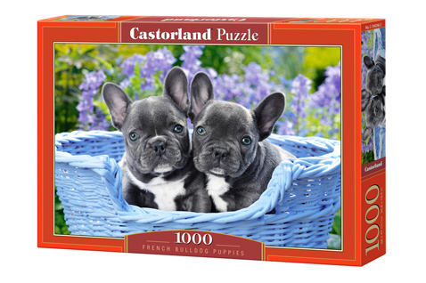 [ CASTOR104246 ] Castorland French Bulldog puppies puzzel 1000 st