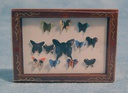 [ SADD799 ] Streets Ahead Dollshouse Kader Met Vlinders 40x55mm