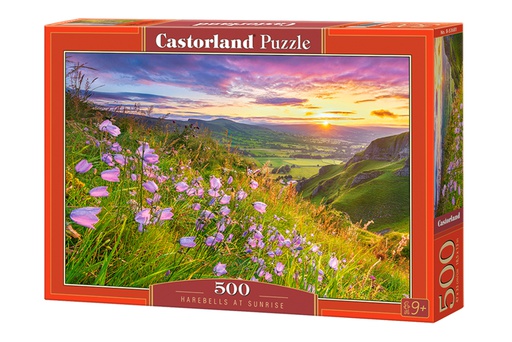 [ CASTOR53681 ] Castorland puzzle Harebells at Sunrise (500 stukjes)