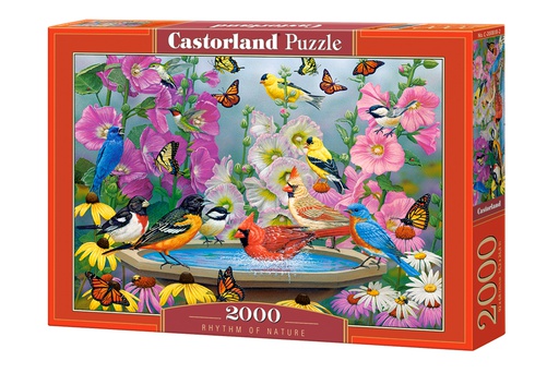 [ CASTOR200818 ] Castorland puzzle RHYTHM OF NATURE (2000 stukjes)