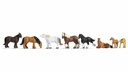 [ NO15762 ] Koudbloed Paarden