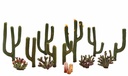 [ WOODLANDTR3600 ] WOODLAND CATUS PLANT 1/2" - 2-1/2"