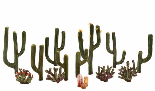 [ WOODLANDTR3600 ] WOODLAND CATUS PLANT 1/2" - 2-1/2"