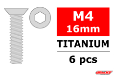 [ PROC-3022-40-16 ] Titanium Screws M4 x 16mm Hex Flat Head (6st)