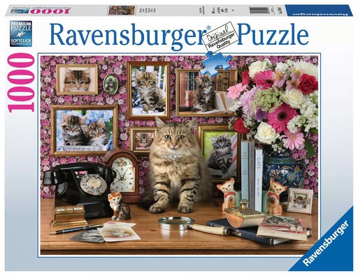[ RAV159949 ] Ravensburger puzzel Mijn katjes (1000 stukjes)