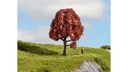 [ NO20151 ] Noch Europese Beuk 10cm 